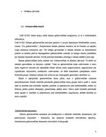 Prakses atskaite 'Finanšu grāmatvedība', 9.