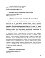 Prakses atskaite 'Finanšu grāmatvedība', 28.