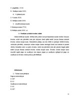 Prakses atskaite 'Finanšu grāmatvedība', 33.