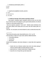 Prakses atskaite 'Finanšu grāmatvedība', 42.