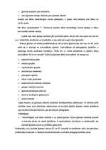 Referāts 'Ģimene ar bērniem, tās problēmas', 19.