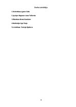 Prakses atskaite 'Klīniskā intervija', 19.