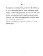 Referāts 'Baroka stila baznīcas Latgalē', 3.