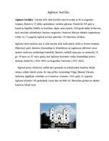 Referāts 'Baroka stila baznīcas Latgalē', 9.