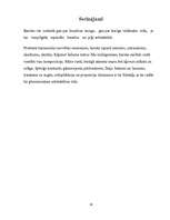 Referāts 'Baroka stila baznīcas Latgalē', 14.