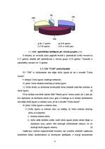 Referāts 'I/K „X” slēpošanas pakalpojuma sniedzēja uzņēmuma finansiālo rādītāju analīze', 9.