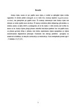 Referāts 'Ahileja cīpslas plīsums', 3.