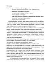 Prakses atskaite 'Atpūtas bāze "Radi"', 9.