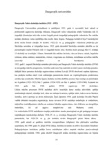 Referāts 'Tūrisma objekti Daugavpilī', 13.