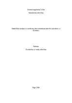 Eseja 'Sabiedrisko attiecību speciālista un žurnālista sadarbības problēmas', 1.