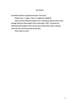 Paraugs 'Aminoskābju atdalīšana ar papīra hromatogrāfijas metodi', 3.