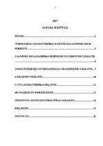 Referāts 'Grāmatvedības organizācija vienkāršā ieraksta sistēmā', 2.