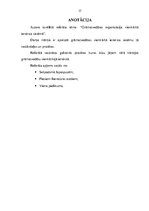 Referāts 'Grāmatvedības organizācija vienkāršā ieraksta sistēmā', 17.