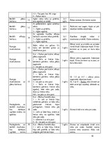 Prakses atskaite 'Prakses dienasgrāmata boksa vecākā trenera kvalifikācijā', 38.