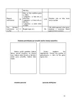 Prakses atskaite 'Prakses dienasgrāmata boksa vecākā trenera kvalifikācijā', 42.