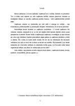 Prakses atskaite 'Praktiskā apmācība ražošanas ekonomikā', 3.