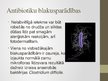 Prezentācija 'Antibiotikas', 7.