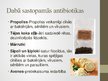 Prezentācija 'Antibiotikas', 10.