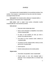 Referāts 'Latvijas sportistu dalība Olimpiskajās spēlēs pēc Latvijas neatkarības atjaunoša', 31.