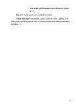 Referāts 'Latvijas sportistu dalība Olimpiskajās spēlēs pēc Latvijas neatkarības atjaunoša', 34.