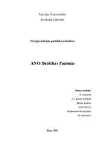 Referāts 'ANO Drošības padome', 1.