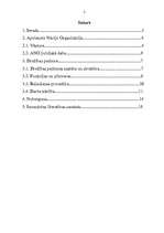 Referāts 'ANO Drošības padome', 2.