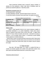 Diplomdarbs 'SEB banka - finanšu pakalpojumu sniedzēja uzņēmējiem', 28.