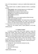 Diplomdarbs 'SEB banka - finanšu pakalpojumu sniedzēja uzņēmējiem', 42.