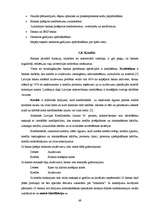 Diplomdarbs 'SEB banka - finanšu pakalpojumu sniedzēja uzņēmējiem', 49.