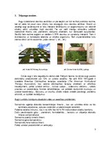 Referāts 'Telpaugu nozīme viesmīlības atmosfēras radīšanā', 5.