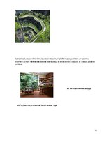 Referāts 'Telpaugu nozīme viesmīlības atmosfēras radīšanā', 10.