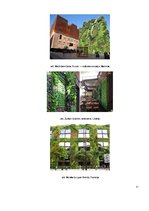 Referāts 'Telpaugu nozīme viesmīlības atmosfēras radīšanā', 11.