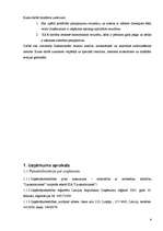 Referāts 'Lauksaimniecības uzņēmuma SIA "Lauksaimnieks" analīze', 4.