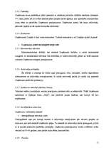 Referāts 'Lauksaimniecības uzņēmuma SIA "Lauksaimnieks" analīze', 11.