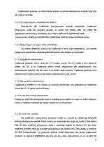 Referāts 'Lauksaimniecības uzņēmuma SIA "Lauksaimnieks" analīze', 12.