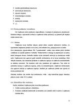 Referāts 'Lauksaimniecības uzņēmuma SIA "Lauksaimnieks" analīze', 16.