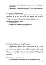 Referāts 'Lauksaimniecības uzņēmuma SIA "Lauksaimnieks" analīze', 17.