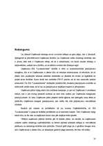 Referāts 'Lauksaimniecības uzņēmuma SIA "Lauksaimnieks" analīze', 30.