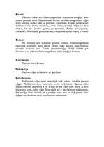 Referāts 'Optika', 2.