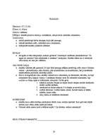 Prakses atskaite 'Kvalifikācijas prakse sākumskolā', 28.