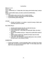 Prakses atskaite 'Kvalifikācijas prakse sākumskolā', 33.