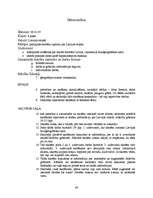 Prakses atskaite 'Kvalifikācijas prakse sākumskolā', 46.