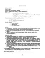 Prakses atskaite 'Kvalifikācijas prakse sākumskolā', 49.