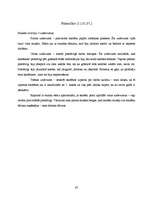 Prakses atskaite 'Kvalifikācijas prakse sākumskolā', 65.