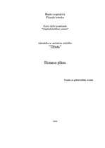 Biznesa plāns 'SIA "Džuta"', 1.