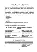 Biznesa plāns 'SIA "Džuta"', 10.