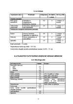 Biznesa plāns 'SIA "Džuta"', 12.