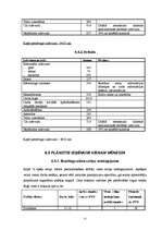 Biznesa plāns 'SIA "Džuta"', 13.