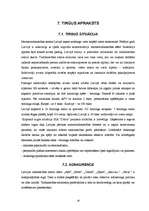 Biznesa plāns 'SIA "Džuta"', 16.