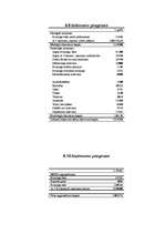 Biznesa plāns 'SIA "Džuta"', 27.